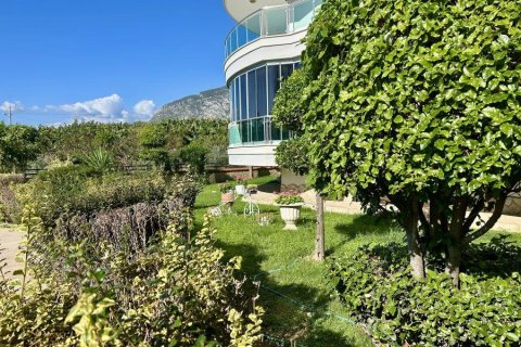 Lägenhet  i Mahmutlar, Antalya, Turkiet Nr. 221586 - 14