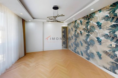 5+1 Villa i Silivri, Istanbul, Tyrkiet Nr. 221055 - 29