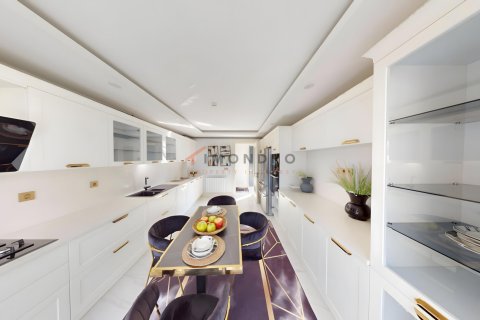 5+1 Villa i Silivri, Istanbul, Tyrkiet Nr. 221055 - 21