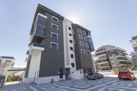 1+1 Wohnung  in Alanya, Antalya, Türkei Nr. 218698 - 8