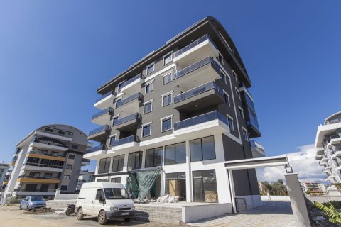 1+1 Wohnung  in Alanya, Antalya, Türkei Nr. 218698 - 2