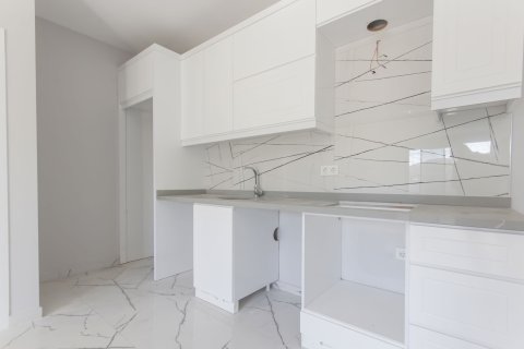 1+1 Wohnung  in Alanya, Antalya, Türkei Nr. 218698 - 3