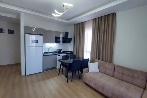 1+0 Wohnung in Mahmutlar, Antalya, Türkei Nr. 225109 - 2