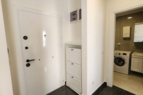 1+0 Wohnung in Mahmutlar, Antalya, Türkei Nr. 225112 - 8
