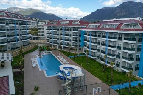 1+0 Wohnung in Kestel, Schleimbeutel, Türkei Nr. 225113 - 13