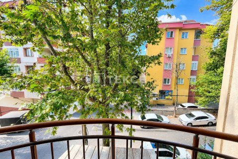 6+2 Villa in Istanbul, Turkey No. 232286