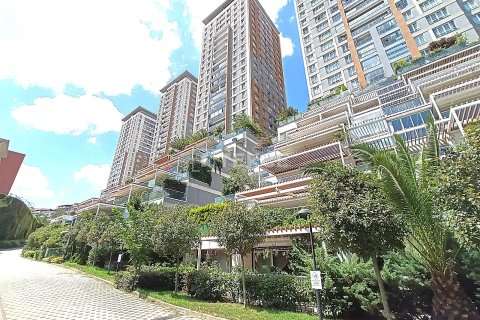 4+1 Lägenhet i istanbul, Turkiet Nr. 232292 - 5