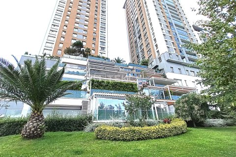 4+1 Lägenhet  i istanbul, Turkiet Nr. 232292