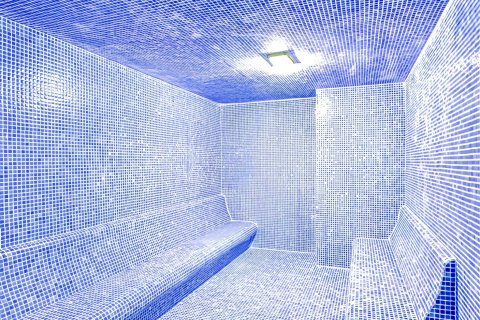 2+1 Wohnung  in Alanya, Antalya, Türkei Nr. 217520 - 13