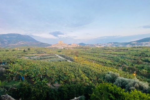 2+1 Lägenhet  i Mahmutlar, Antalya, Turkiet Nr. 219214 - 9