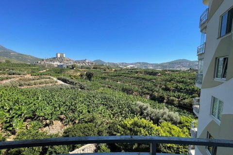 2+1 Lägenhet  i Mahmutlar, Antalya, Turkiet Nr. 219214 - 10