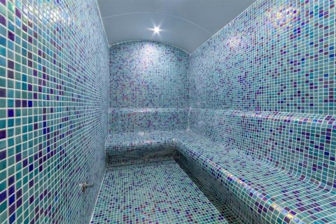 1+1 Lägenhet  i Mahmutlar, Antalya, Turkiet Nr. 219216 - 22