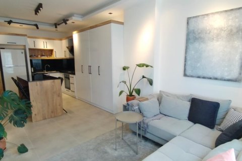 1+1 Lägenhet  i Mahmutlar, Antalya, Turkiet Nr. 219216 - 2