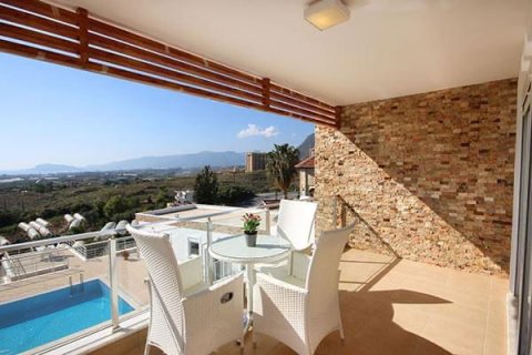 ویلا در  Mahmutlar ، ترکیه 6 خوابه ، 995 متر مربع.  شماره 219212 - 15