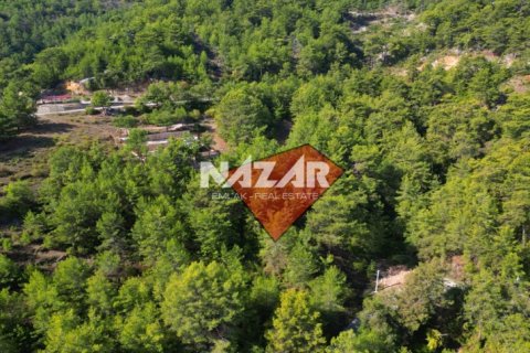 Leilighet  i Alanya, Antalya, Tyrkia Nr. 212692 - 4