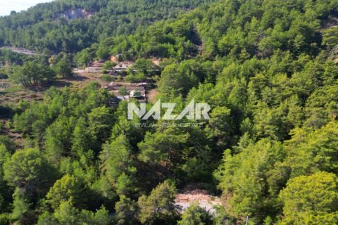 Leilighet  i Alanya, Antalya, Tyrkia Nr. 212692 - 11