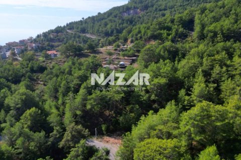 Продажа квартиры  в Аланье, Анталье, Турция, 1028м2, №212692 – фото 12