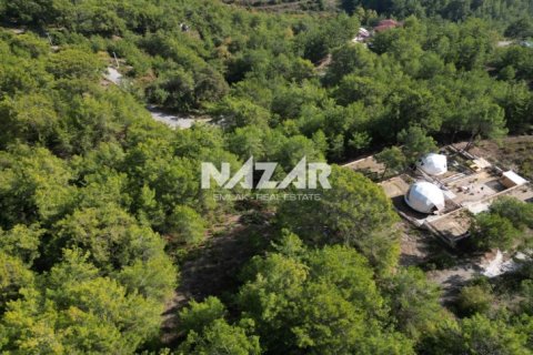 Продажа квартиры  в Аланье, Анталье, Турция, 1028м2, №212692 – фото 9