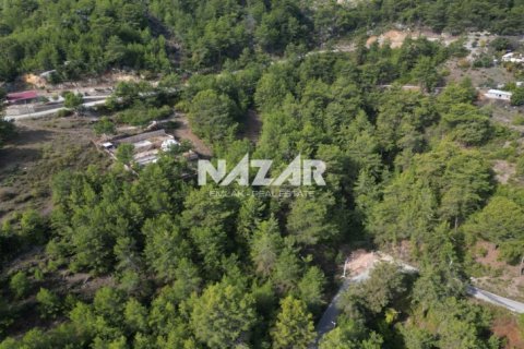 Продажа квартиры  в Аланье, Анталье, Турция, 1028м2, №212692 – фото 5