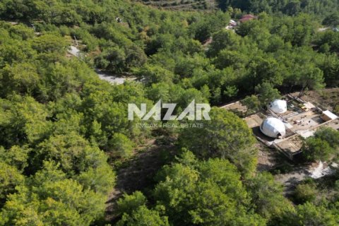 Leilighet  i Alanya, Antalya, Tyrkia Nr. 212692 - 8