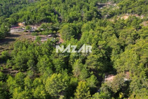 Продажа квартиры  в Аланье, Анталье, Турция, 1028м2, №212692 – фото 10