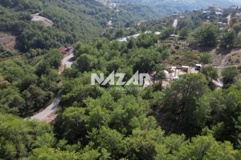 Продажа квартиры  в Аланье, Анталье, Турция, 1028м2, №212692 – фото 7