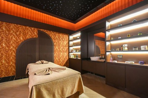 1+1 Leilighet  i Alanya, Antalya, Tyrkia Nr. 219883 - 20