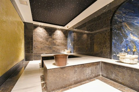 1+1 Leilighet  i Alanya, Antalya, Tyrkia Nr. 219883 - 13