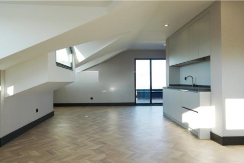 5+1 Villa  i Istanbul, Tyrkia Nr. 222652 - 11