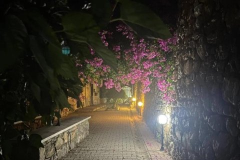 Villa i Tepe, Alanya, Antalya, Turkiet Nr. 216280 - 17