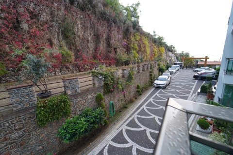 آپارتمان در Kargicak،  Alanya ، ترکیه 125 متر مربع.  شماره 213762 - 27