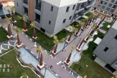 7+1 Lägenhet i Istanbul, istanbul, Turkiet Nr. 233936 - 12
