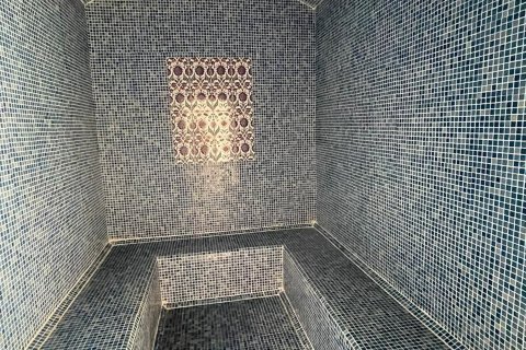 Daire  1+1  Mahmutlar, Antalya, Türkiye №216335 - 5