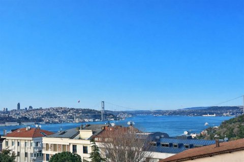 Продажа виллы  в Стамбуле, Турция 10+1, 1000м2, №232722 – фото 17