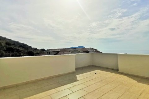 3+1 Lejlighed  i Alanya, Antalya, Tyrkiet Nr. 215481 - 21