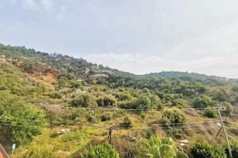 3+1 Lejlighed  i Alanya, Antalya, Tyrkiet Nr. 215481 - 29