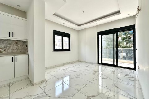 1+1 Wohnung  in Alanya, Antalya, Türkei Nr. 224643