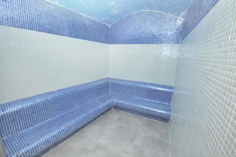 2+1 Wohnung  in Alanya, Antalya, Türkei Nr. 224135 - 12