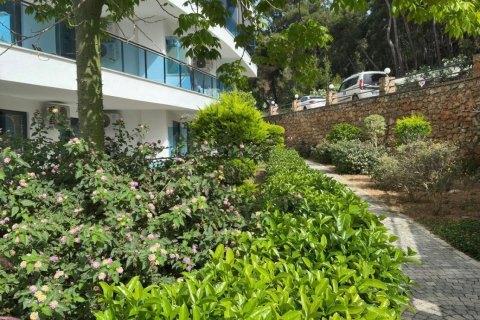 2+1 Wohnung  in Alanya, Antalya, Türkei Nr. 224135 - 15