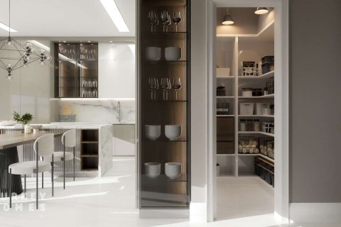 5+1 Villa i Istanbul, Tyrkiet Nr. 233453 - 12