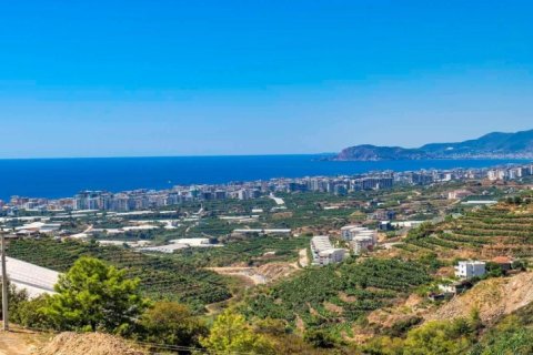 Leilighet  i Alanya, Antalya, Tyrkia Nr. 222447 - 8