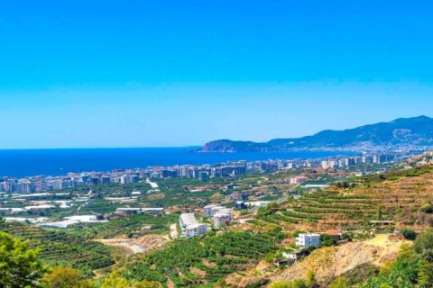 Leilighet  i Alanya, Antalya, Tyrkia Nr. 222447