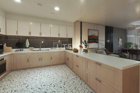 4+1 Villa  i Istanbul, Tyrkiet Nr. 212080 - 10