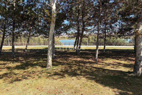 Продажа земельного участка  в Анкаре, Турция, 11230м2, №212081 – фото 8