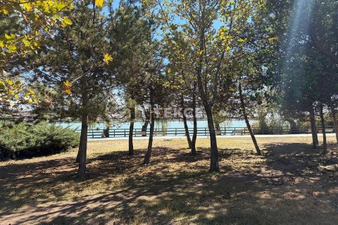 Продажа земельного участка  в Анкаре, Турция, 11230м2, №212081 – фото 11