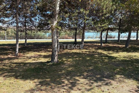 Продажа земельного участка  в Анкаре, Турция, 11230м2, №212081 – фото 9