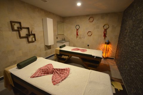 1+1 Wohnung  in Alanya, Antalya, Türkei Nr. 216722 - 17