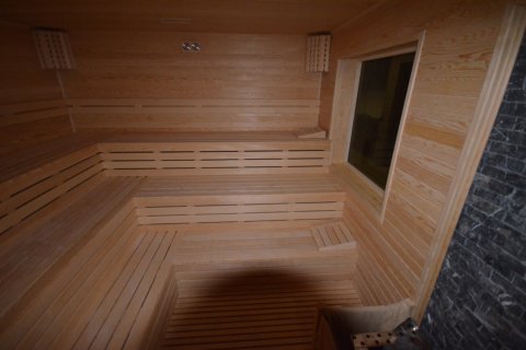 1+1 Wohnung  in Alanya, Antalya, Türkei Nr. 216722 - 20