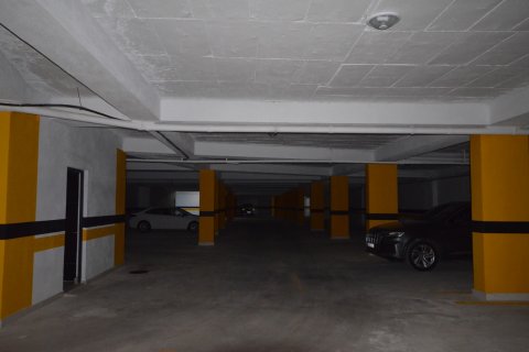 1+1 Wohnung  in Alanya, Antalya, Türkei Nr. 216722 - 22