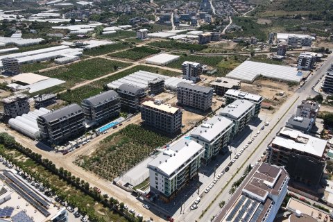 1+1 Wohnung  in Alanya, Antalya, Türkei Nr. 216722 - 5